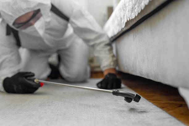 Professional Bed Bug Control technician working in Catonsville, MD