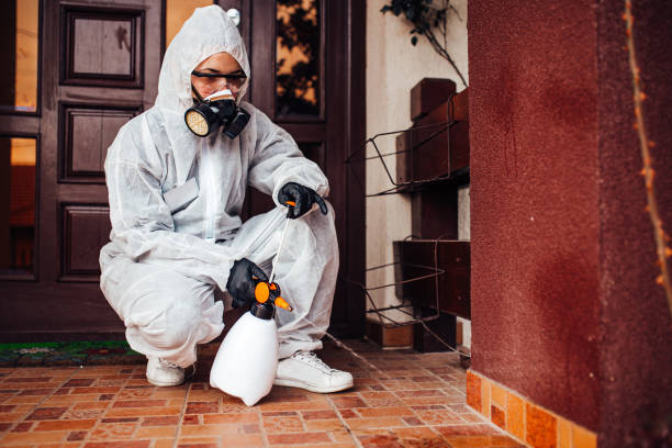 Reliable Bed Bug Control contractor in Catonsville, MD by Nex Pest Control